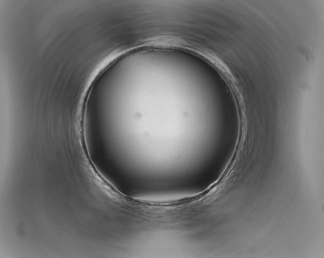 X0000115741248200911121531
