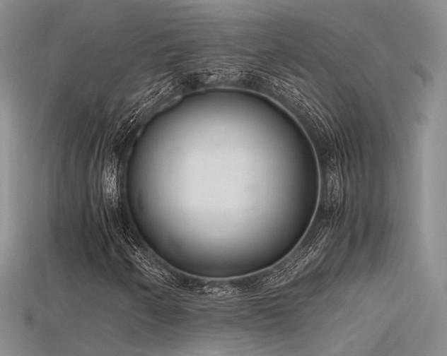 X0000115741250200911121530