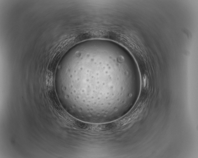 X0000115741251200911121530