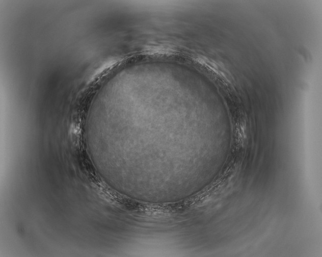 X0000115741254200911121530