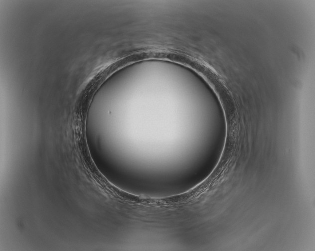 X0000115741255200911121530