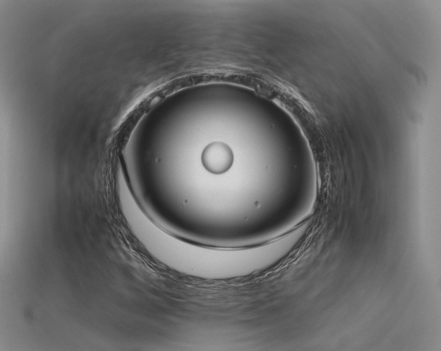 X0000115741256200911121530