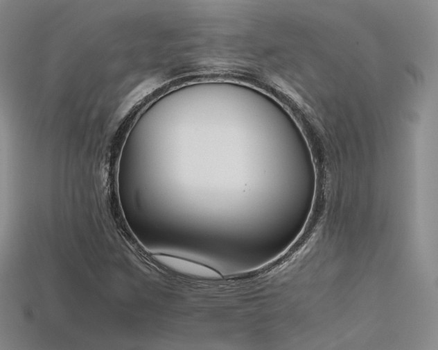 X0000115741259200911121530