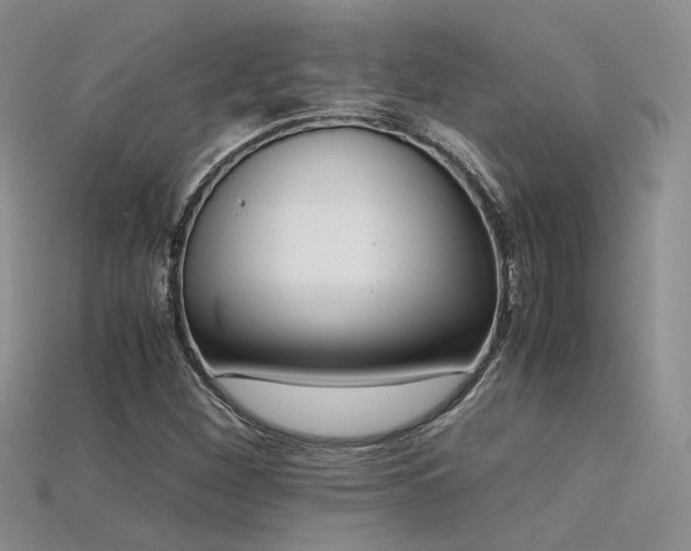 X0000115741260200911121530
