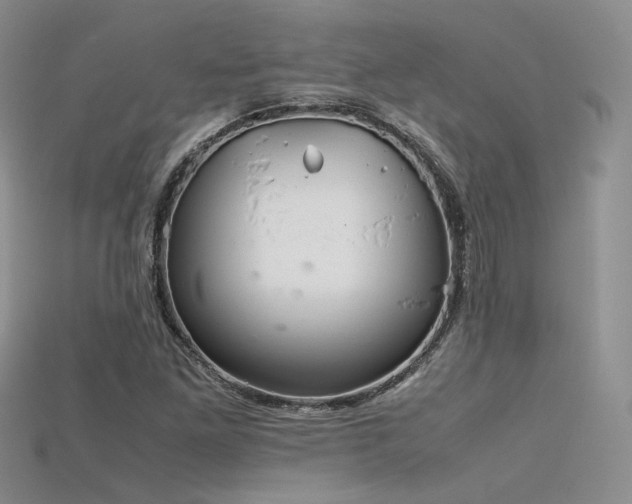 X0000115741261200911121530