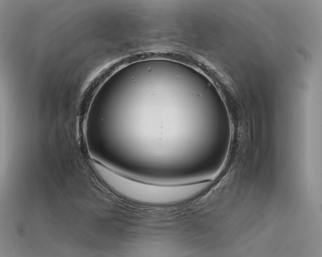 X0000115741262200911121530