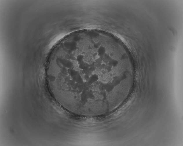 X0000115741263200911121530