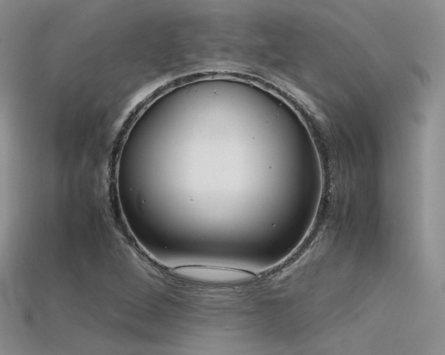 X0000115741264200911121530