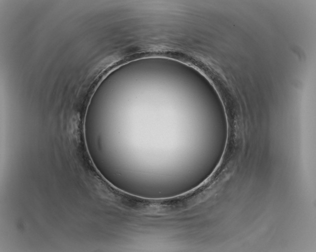 X0000115741265200911121530