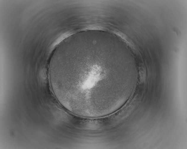 X0000115741266200911121530
