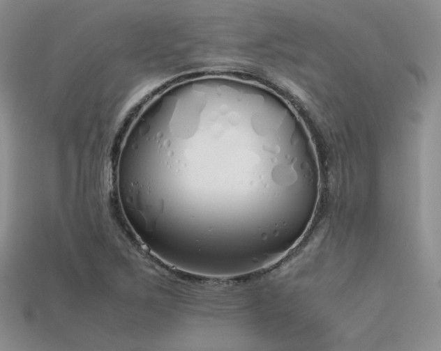 X0000115741267200911121530
