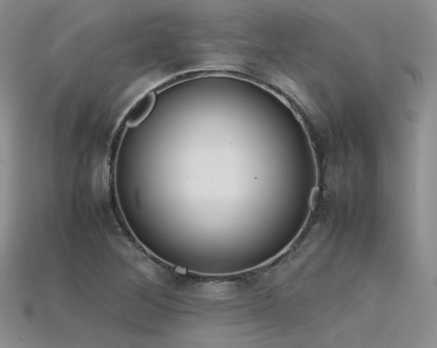 X0000115741268200911121530