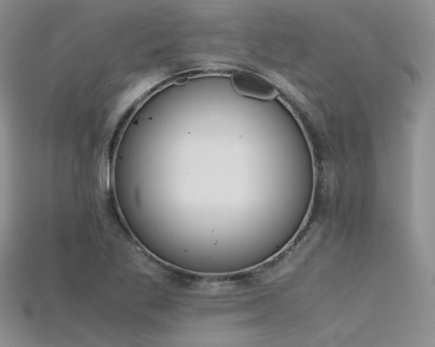 X0000115741269200911121530