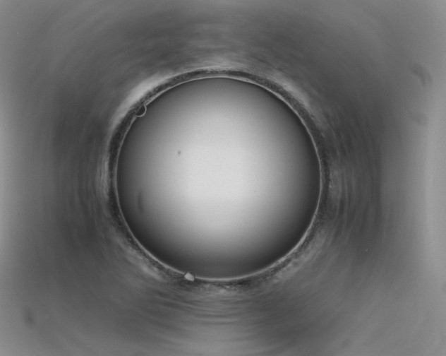 X0000115741270200911121530