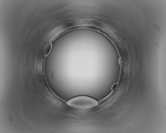 X0000115741273200911121530