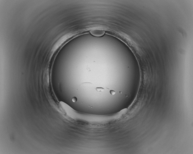X0000115741274200911121530