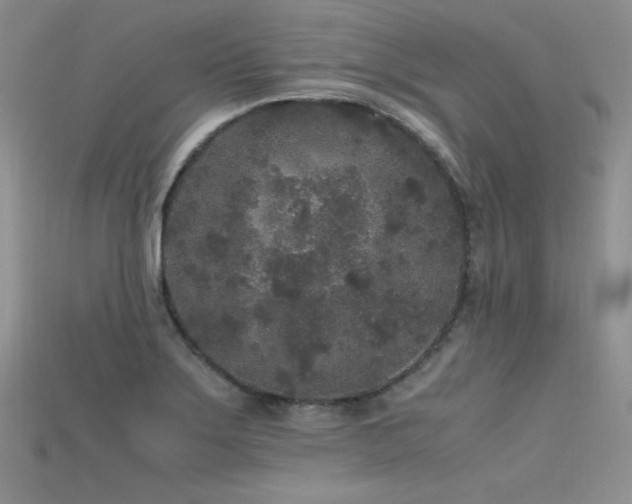 X0000115741275200911121530