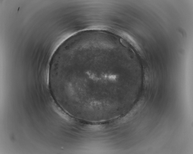 X0000115741276200911121530