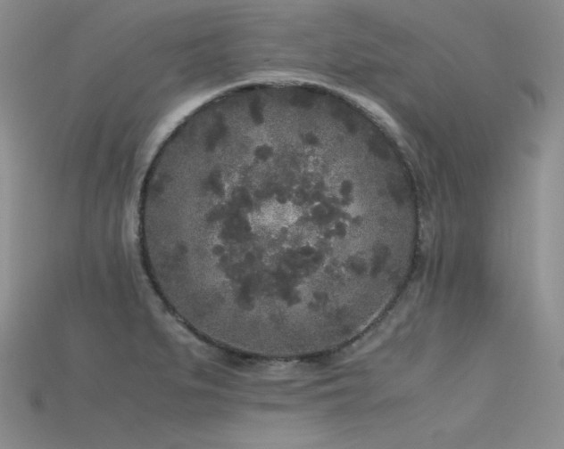 X0000115741279200911121530