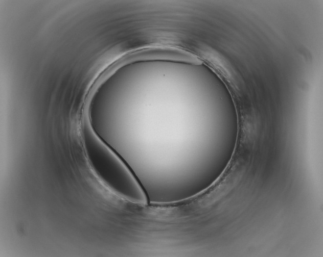 X0000115741284200911121530