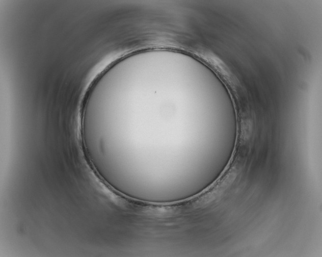 X0000115741286200911121530