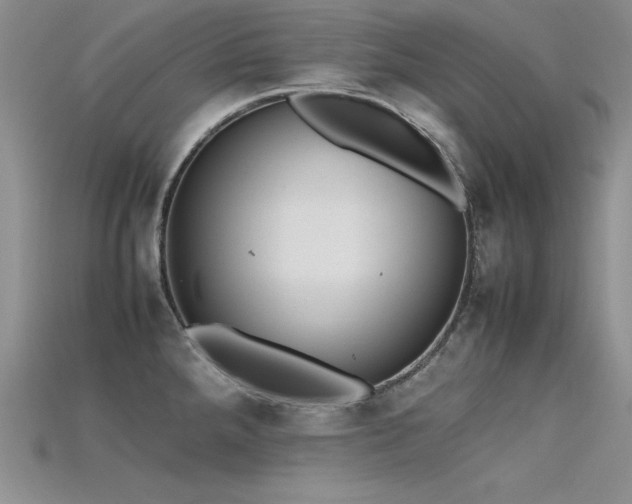 X0000115741288200911121530