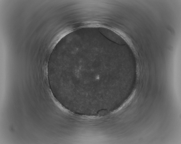 X0000115741289200911121530