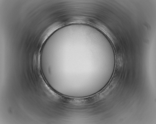 X0000115741290200911121530