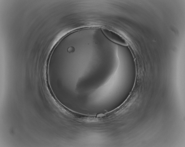 X0000115741291200911121530