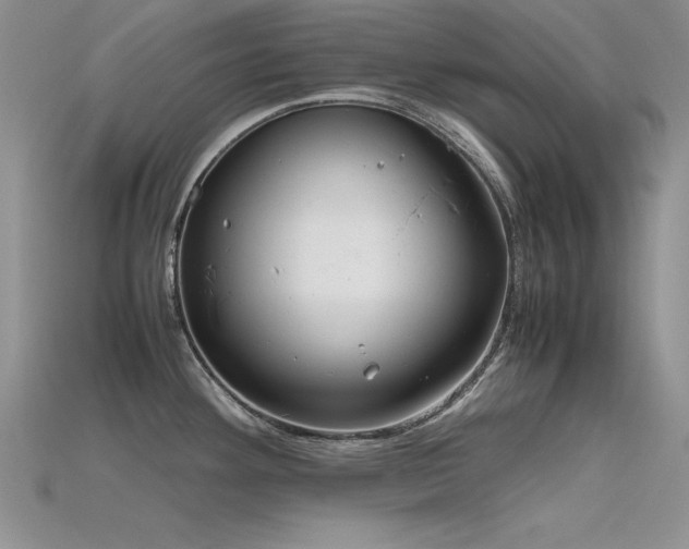 X0000115741292200911121530