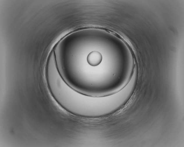 X0000115741293200911121530