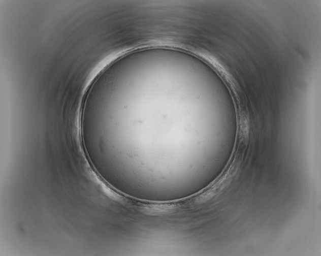 X0000115741294200911121530