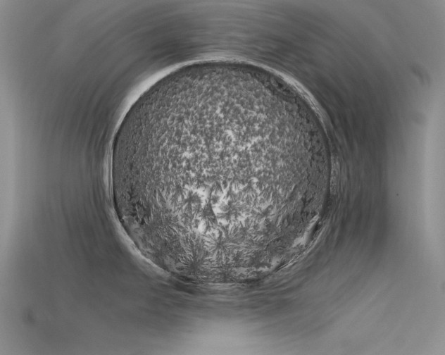 X0000115741295200911121530
