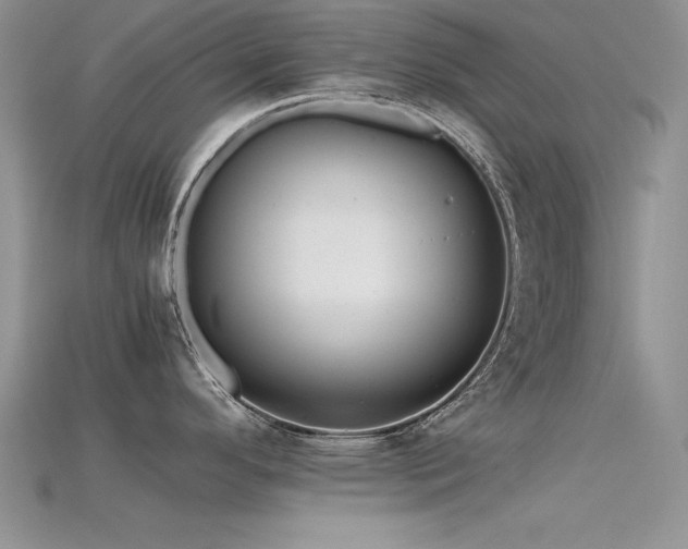 X0000115741296200911121530