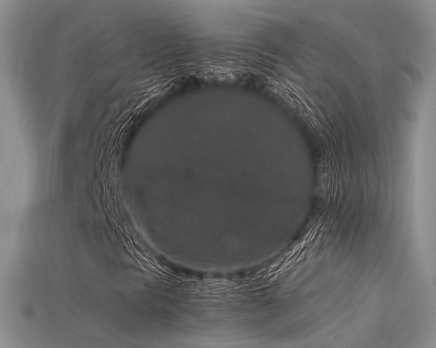 X0000115741297200911121529