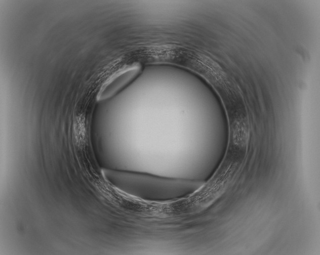 X0000115741298200911121529