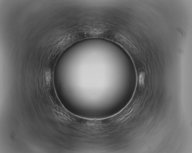 X0000115741299200911121529