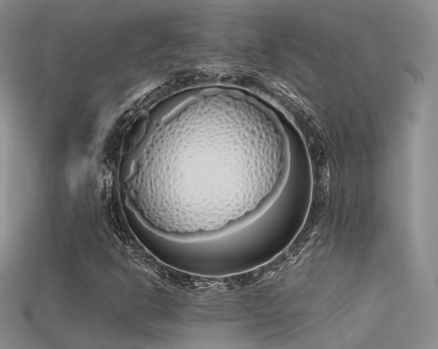 X0000115741302200911121529