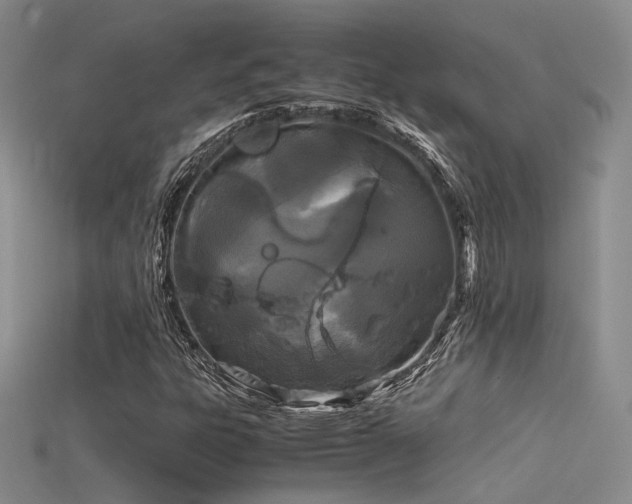 X0000115741303200911121529