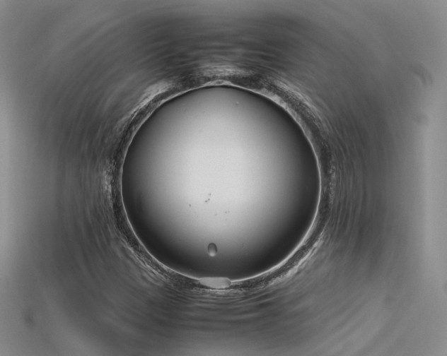 X0000115741305200911121529