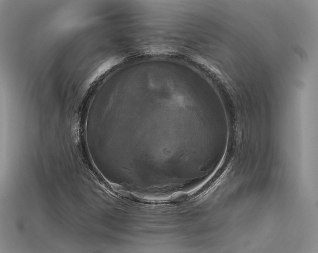 X0000115741306200911121529