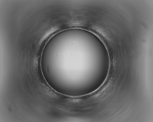 X0000115741309200911121529