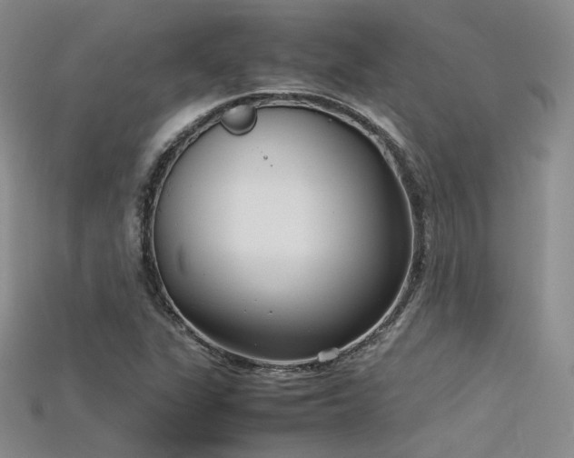 X0000115741311200911121529