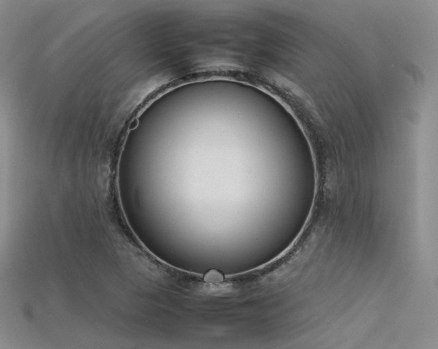 X0000115741313200911121529
