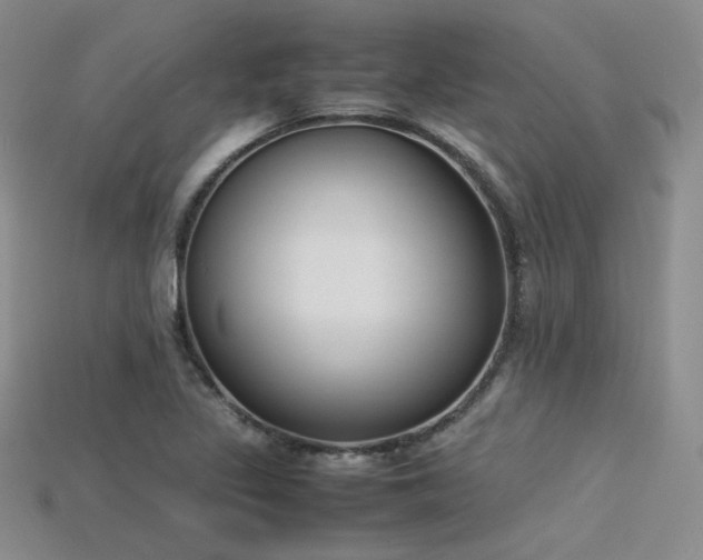 X0000115741317200911121529