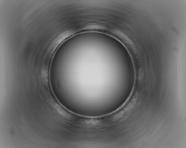 X0000115741321200911121529