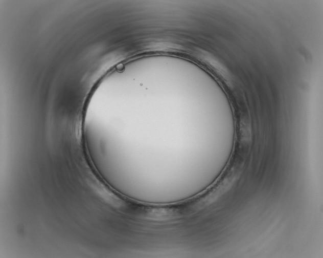 X0000115741322200911121529