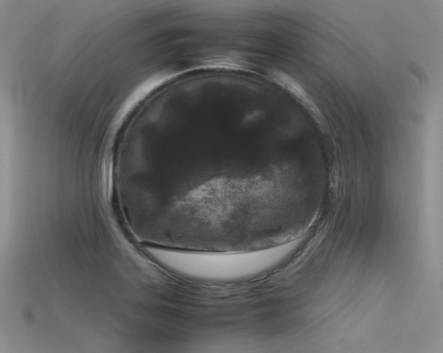 X0000115741323200911121529