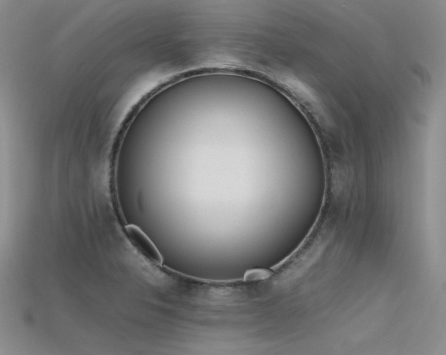 X0000115741326200911121529