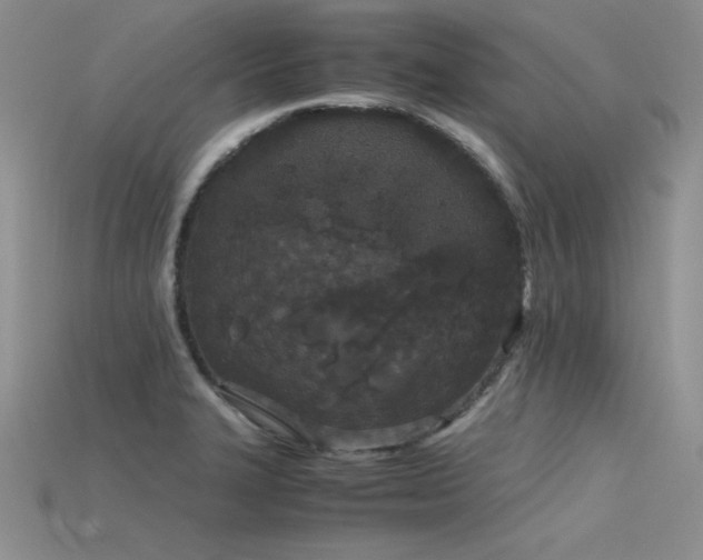 X0000115741327200911121529